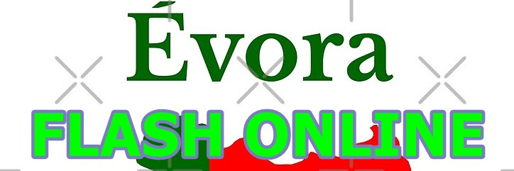 367 https://keepone.net/radio/k170145/evora-fm
